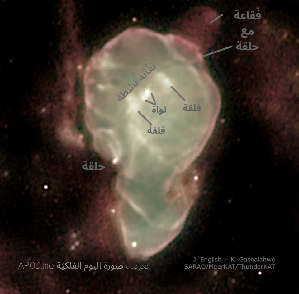 نسخة توضيحيّة عنونت فيها الحلقات والفلقات والنواة وفقاعة ونفّاثة نشطة