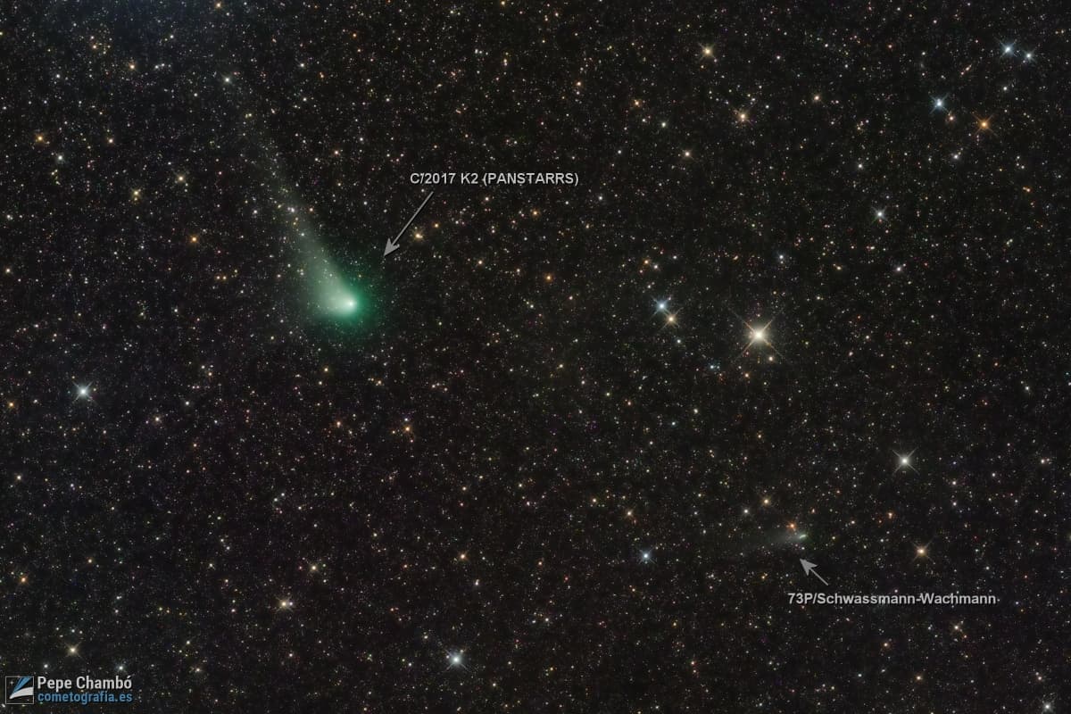 نسخة عنون فيها المذنّبان