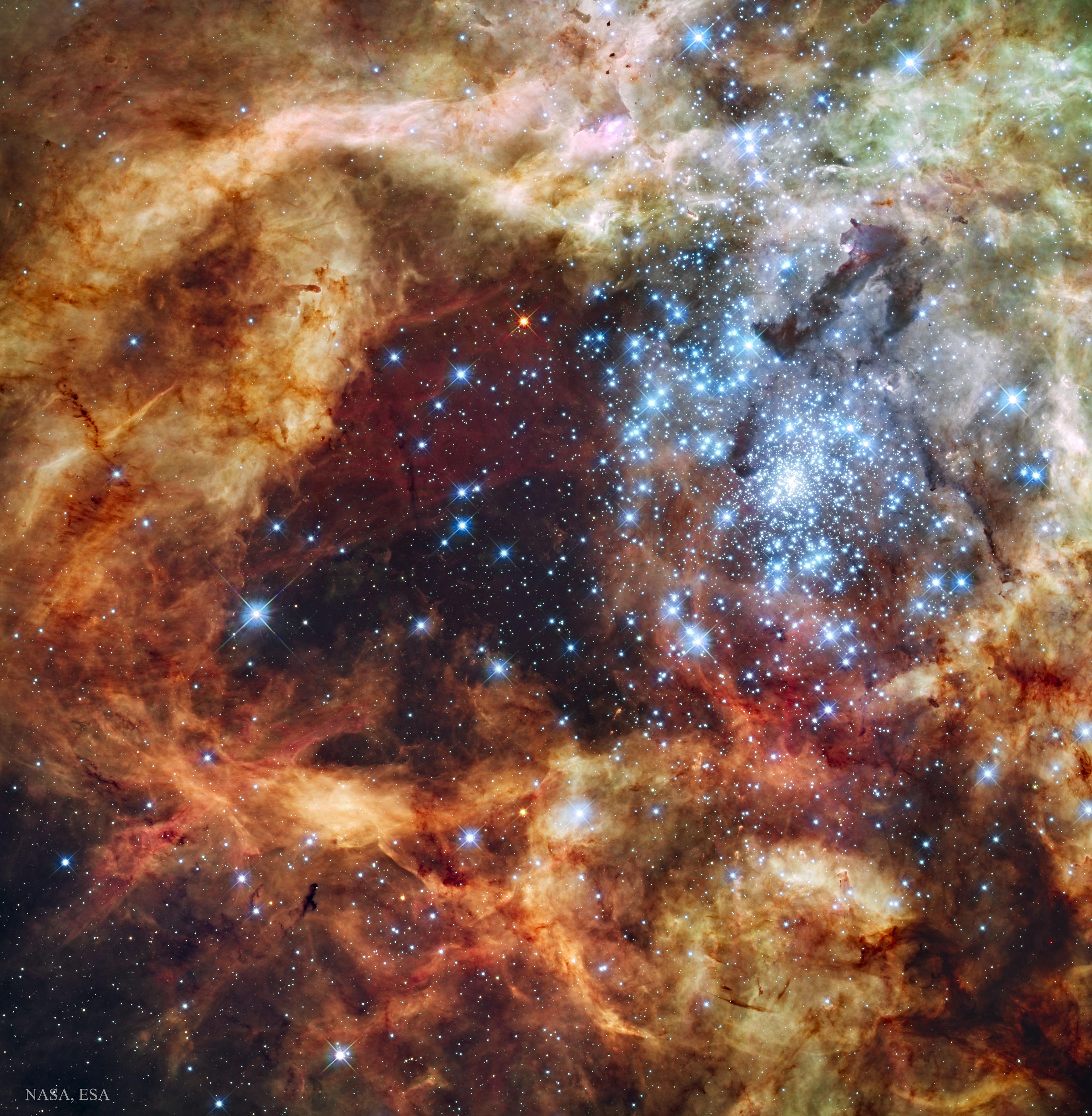 صورة مميزة بالضوء المرئي لسديم العنكبوت. سُحُب الغاز والغبار في سديم العنكبوت منحوتة بأشكال ممدودة بفعل الرياح القوية والأشعة فوق البنفسجية الصادرة عن هذه النجوم التي تعتبر من بين أكبر النجوم المعروفة وأشدّها سخونة وأعظمها كتلة. عنقود النجوم تركيزه الأكبر في يمين وسط الصورة وتتباعد النجوم ذات اللون الأبيض المزرقّ كلما ابتعدنا عن تلك النقطة حيث تظهر السحب السديمية بألوان متدرجة بين حمراء وبنية وبرتقالية وصفراء.