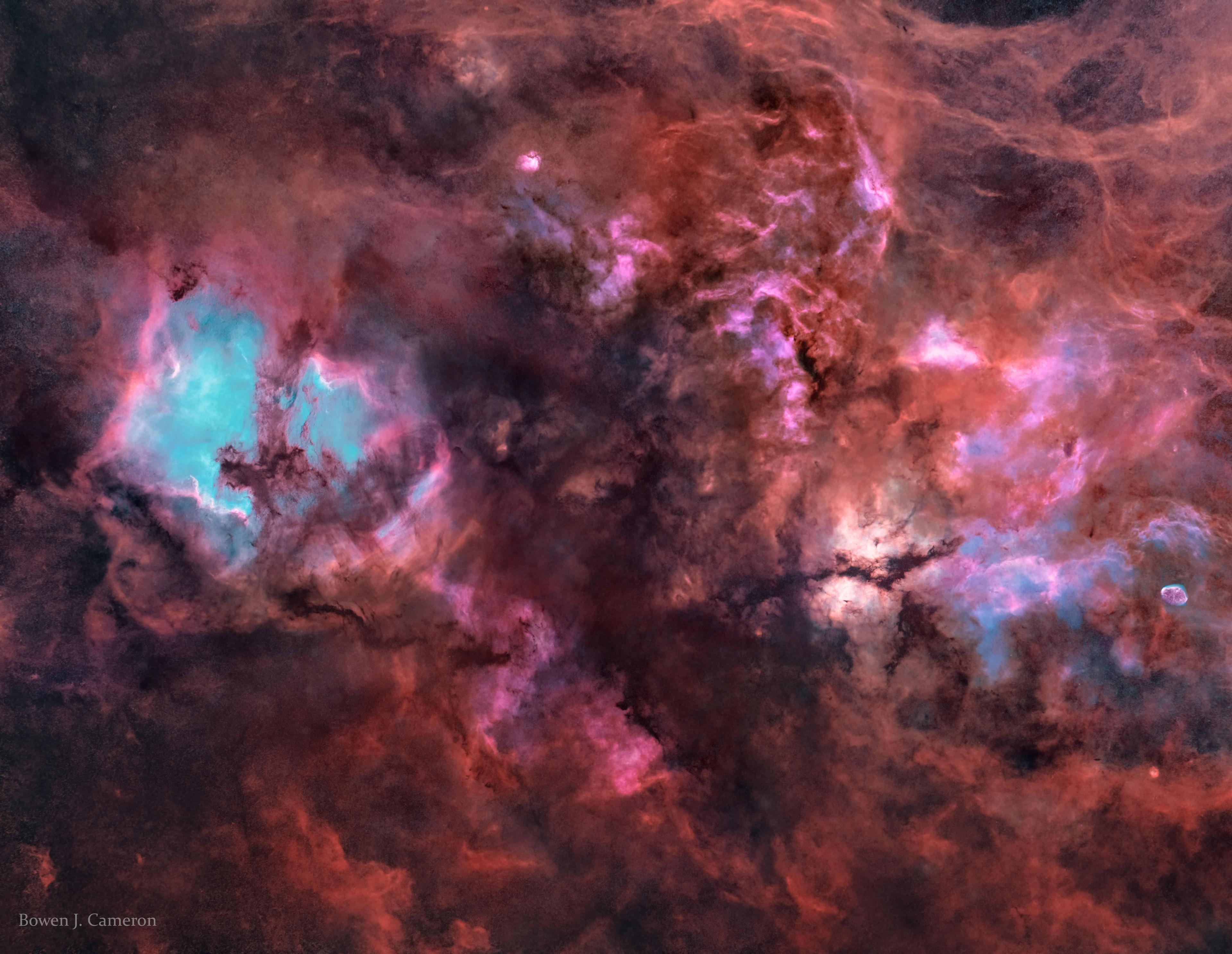 كوكبة الطائر (الدجاجة/Cygnus) بدون نجوم: صورة معالجة رقمياً لإزالة نجوم درب التبانة التي كانت تظهر بشكل نقط بين الكاميرا والسديم. الصورة الممتدّة على عرض 12 درجة شمال كوكبة الطائر تظهر مجموعة معقدة من السحب الغازية على طول مستويّ مجرتنا درب التبّانة.