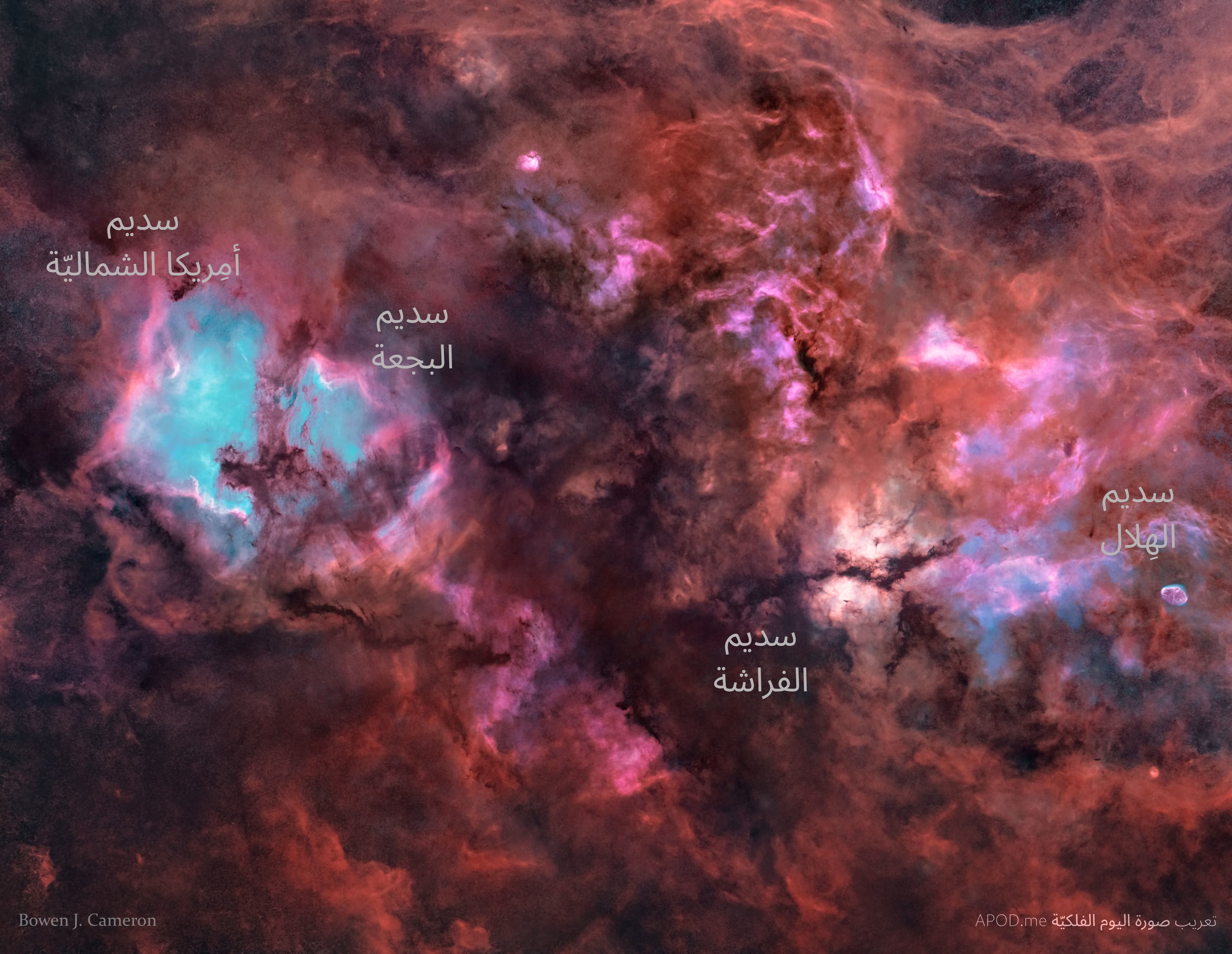 نسخة توضيحية عنونت فيها سدم أميركا الشماليّة والبجعة والفراشة والهلال