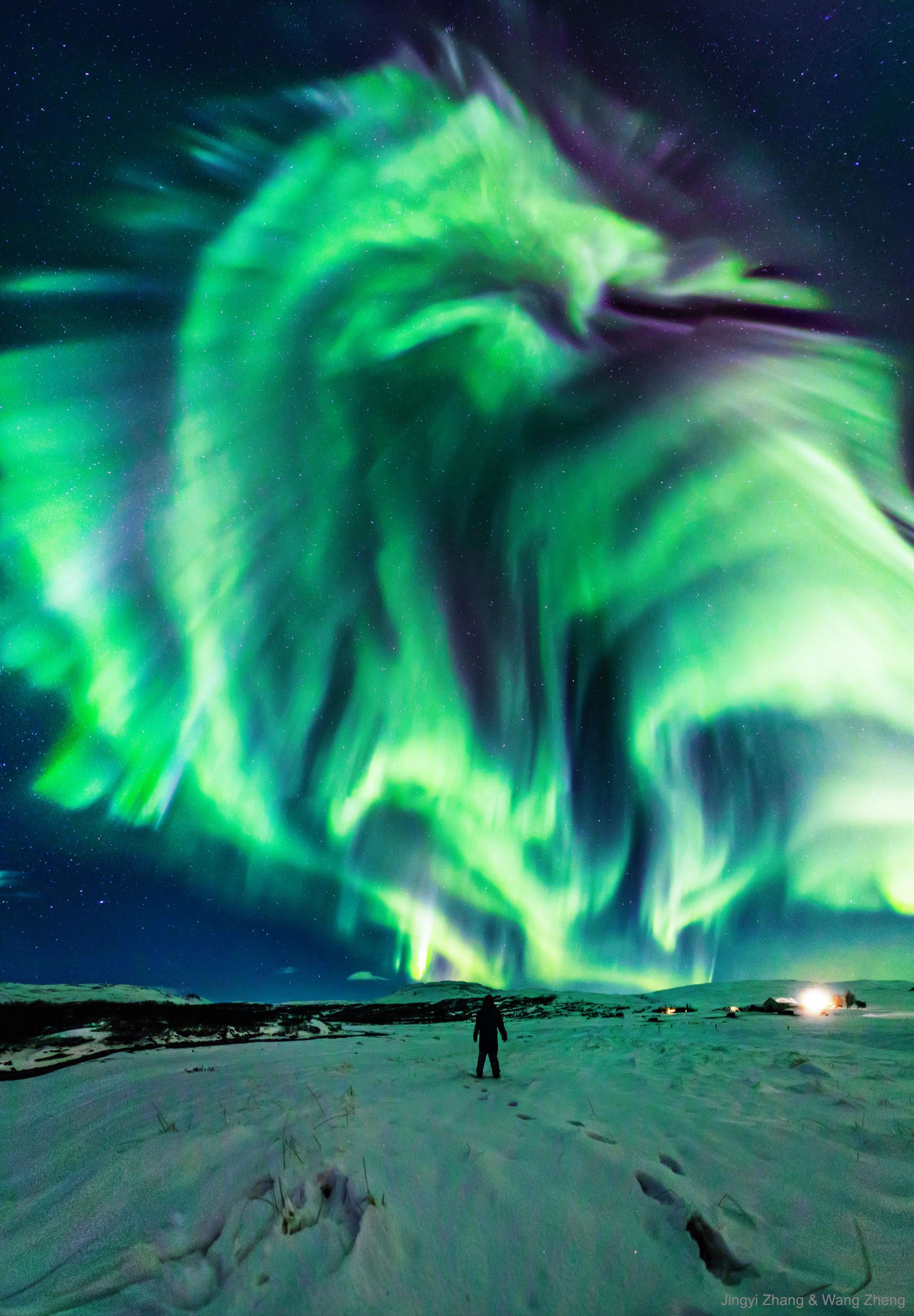 شخصٌ يقف على الثلج ناظراً إلى سماءٍ مرصّعة بالنجوم فيها شفقٌ قطبيٌّ كبير يُشبه تنّيناً.