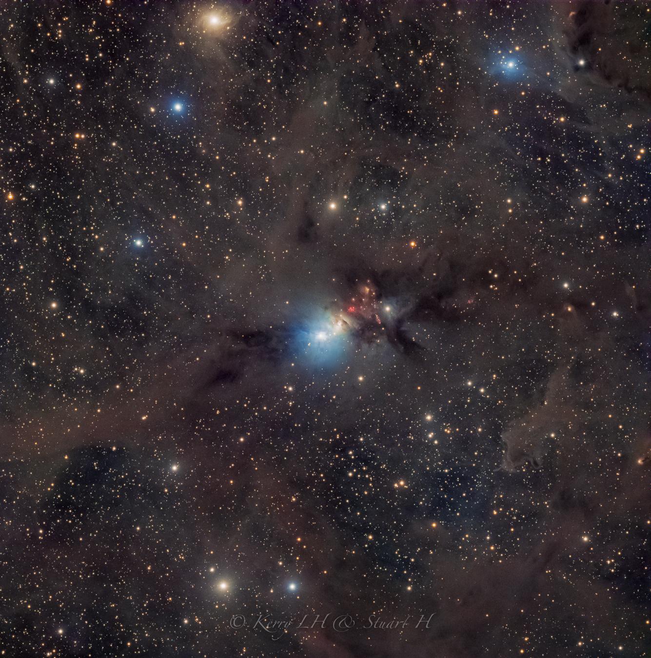 صورة للفضاء العميق بعرض درجتين تقريباً تظهر فيها عدّة سدم انعكاسيّة أكبرها إن‌جي‌سي 1333 في المركز، كما يظهر ڤ‌د‌ب 13 أعلى اليمين، و ڤ‌د‌ب 12 المصفرّ النادر قرب أعلى الإطار. ينتشر الغبار النجمي عبر الإطار الذي ترصّعه النجوم.