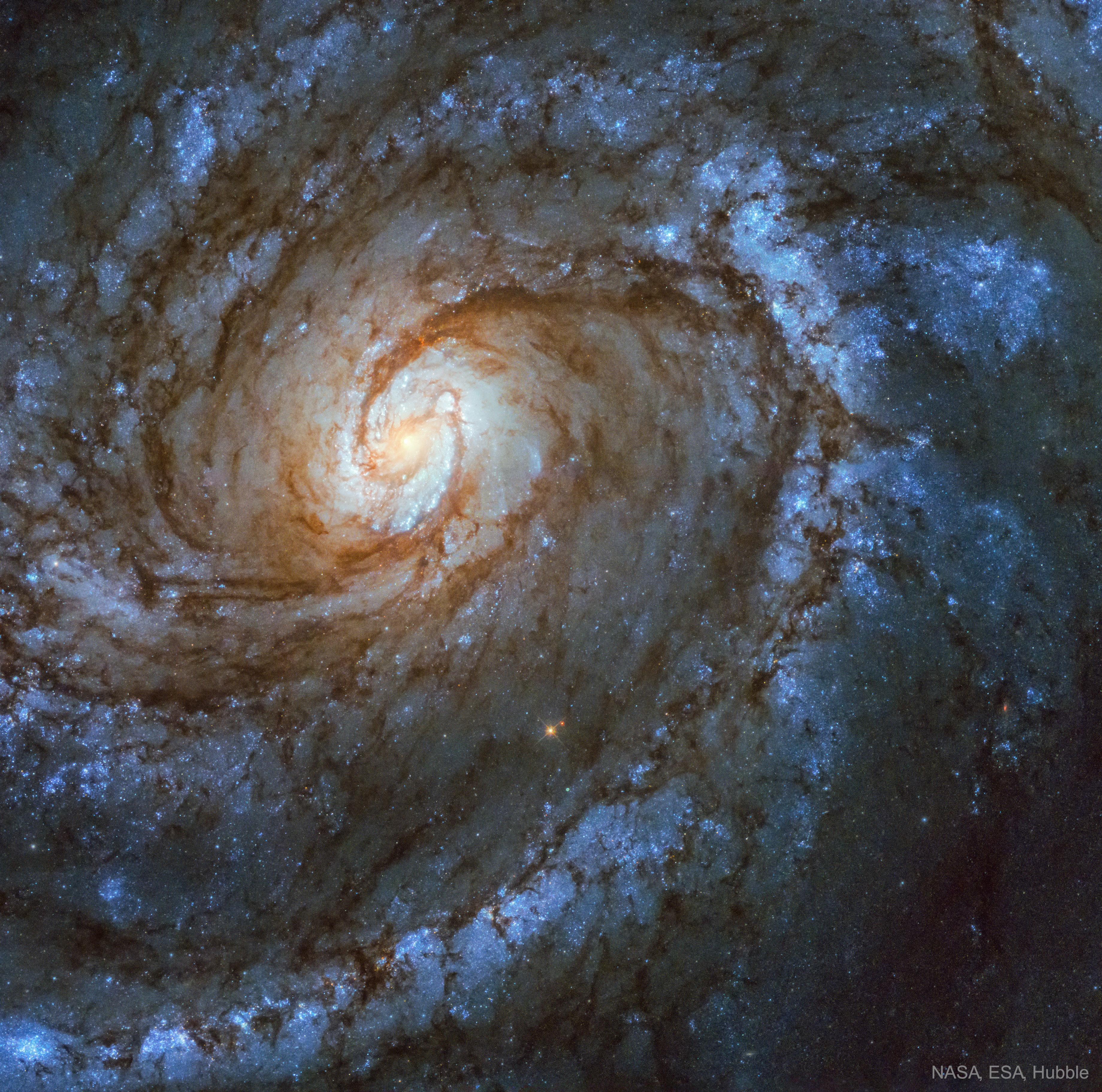 مجرّة حلزونيّة بأذرع حلزونيّة تُهيمن عليها النجوم الزرقاء ومع دوّامة مركزيّة ساطعة تبدو بحدّ ذاتها كمجرّة حلزونيّة.