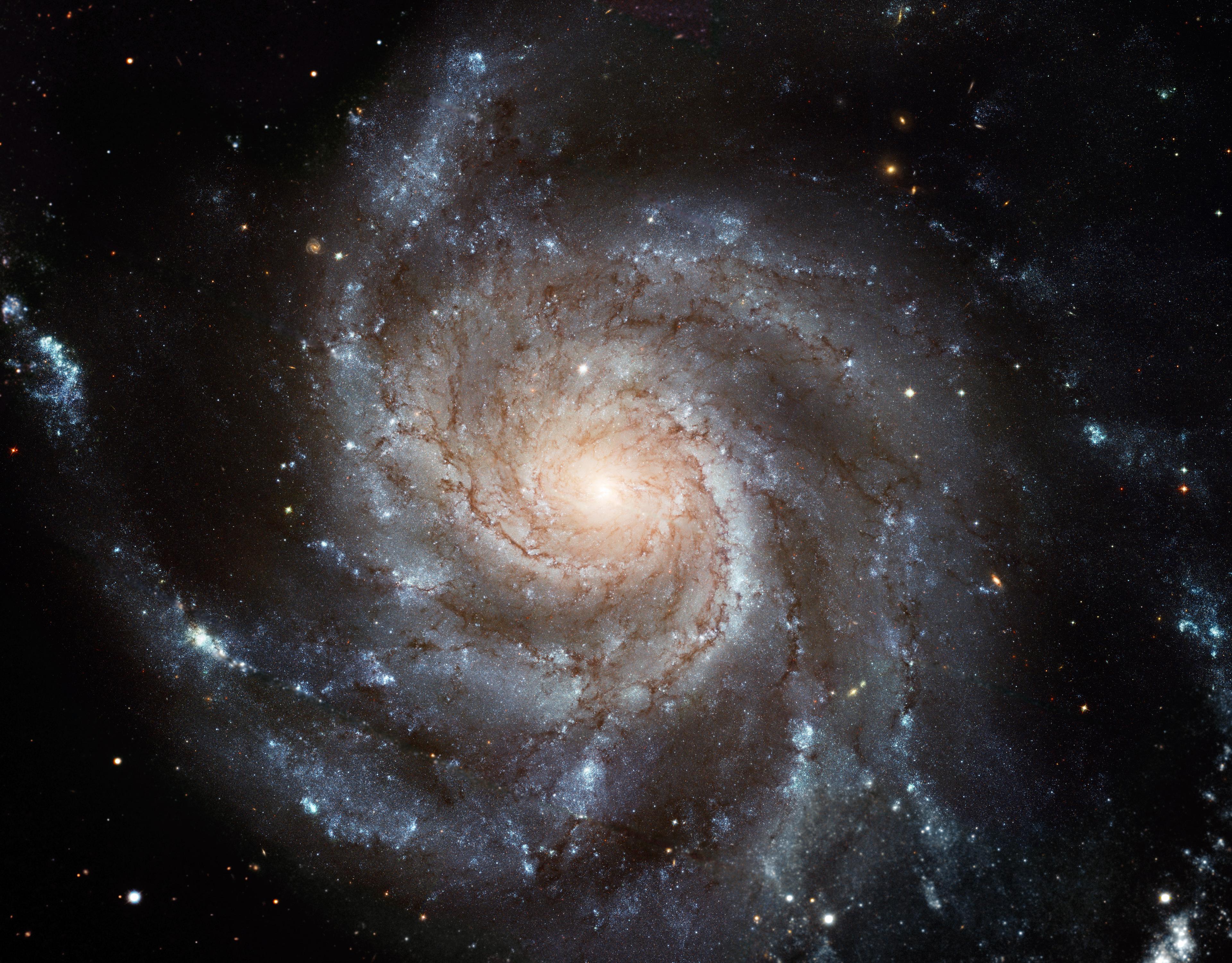 مجرة م101 الحلزونية الضخمة حادّة التفاصيل بقرصها المواجه لنا وأذرعها الملتفّة بنجومها وغبارها، مع بعض المجرات الخلفيّة، والتي يمكن رؤية بعضها مباشرةً من خلال م101 نفسها.