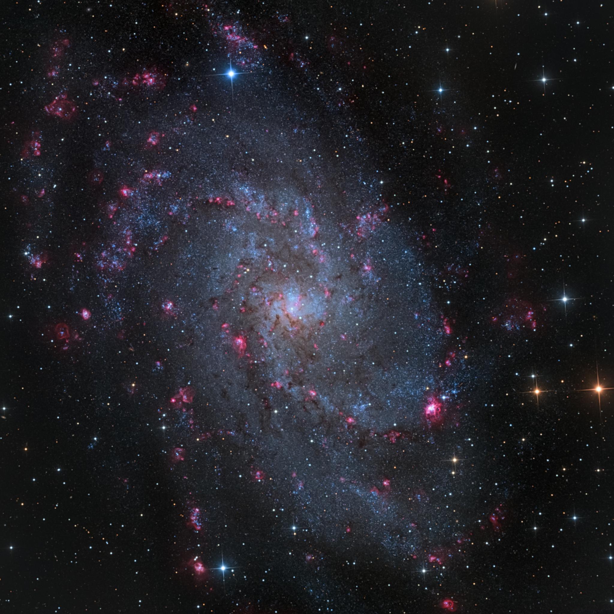 مجرّة المثلث م33 بأذرعها الحلزونيّة واسعة الالتفاف الحاوية على العناقيد النجميّة الزرقاء ومناطق التشكّل النجمي الورديّة ومن بينها إن‌جي‌سي 604 الجوفاء في الموضع المقابل للساعة الرابعة.