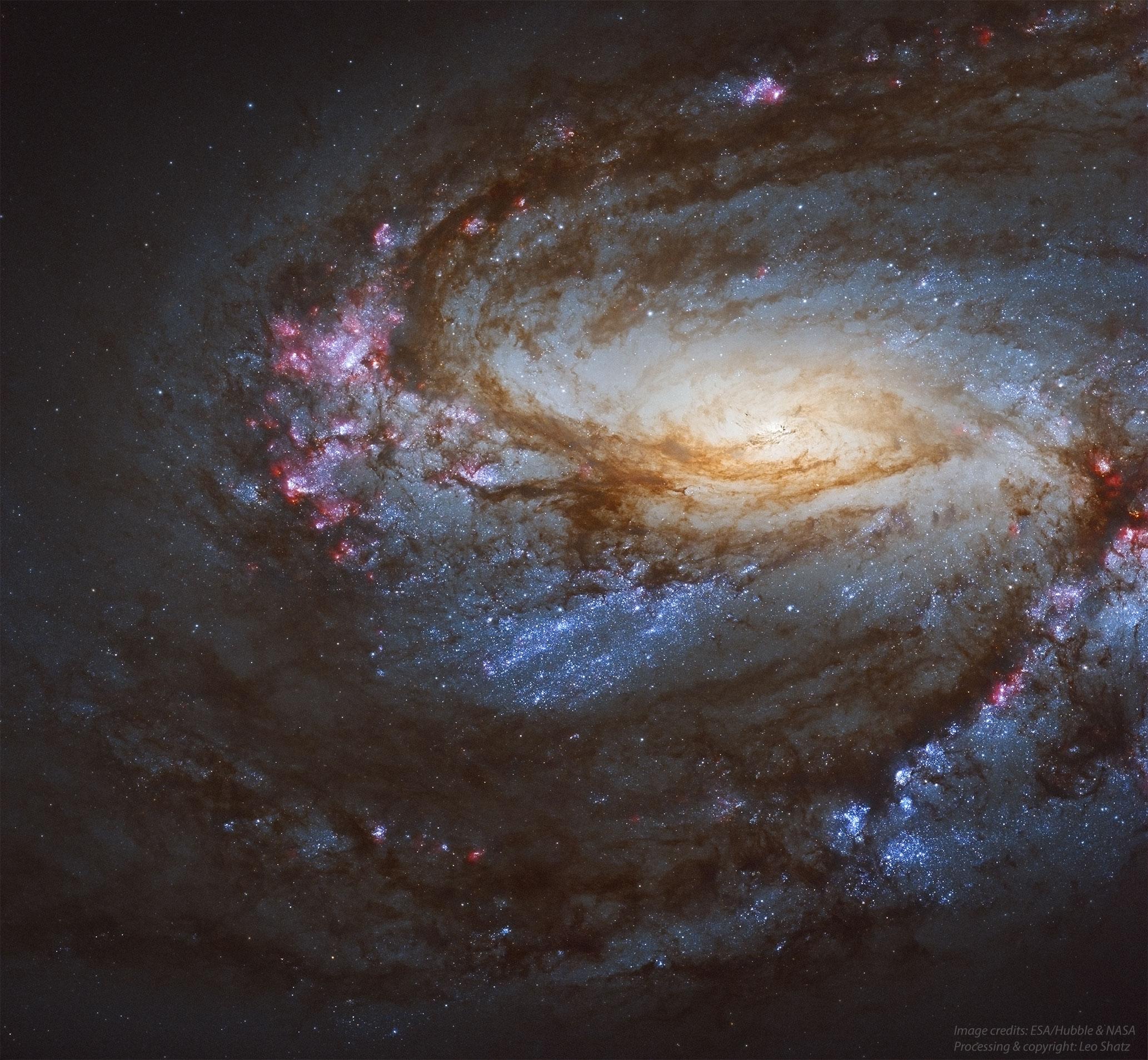 مجرة مِسييه 66 الحلزونية بقرصها الأصفر المتوهج وأذرعها الحلزونيّة التي تتناثر عليها سحب الهيدروجين المتأيّن ورديّة اللون، وكذلك النجوم الزرقاء الساطعة. تظهر كذلك ممرات الغبار الكوني الداكنة.