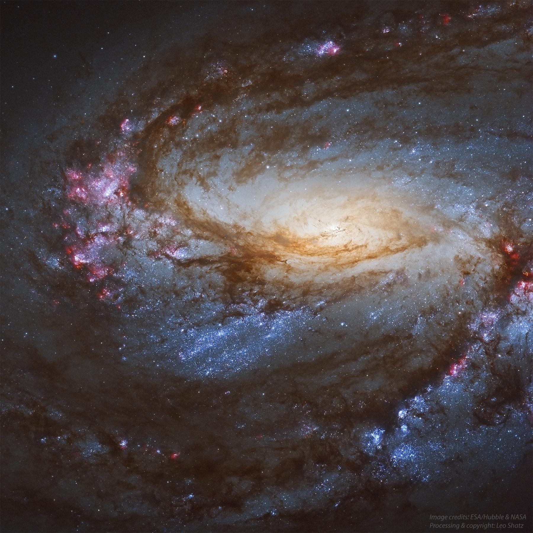 تُظهر الصورة مجرة مِسييه 66 الحلزونية كقرص أصفر متوهج مائل باتجاه خط بصرنا، ومحاطاً بأذرعٍ حلزونية مليئة بالغبار وبالنجوم الفتية الزرقاء. وتظهر بعض المناطق بلون ورديّ مما يدل على أنها مناطق تشكل نجوم.