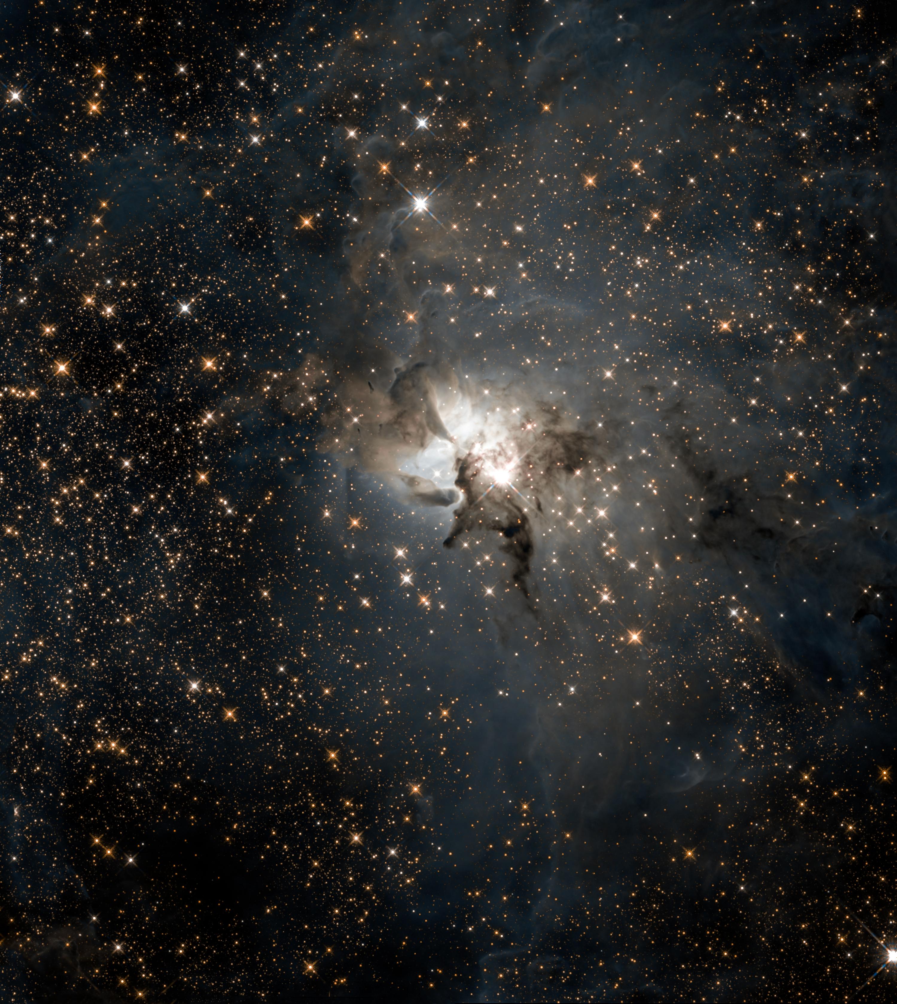 صورة للفضاء العميق بعرض 4 سنوات ضوئيّة تكشف عهن نجوم حديثة الولادة متبعثرة داخل منطقة التشكّل النجمي النشطة، قبالة حقلٍ مزدحم من النجوم الخلفية. يظهر نجم ساطع بالقرب من مركز الصورة.