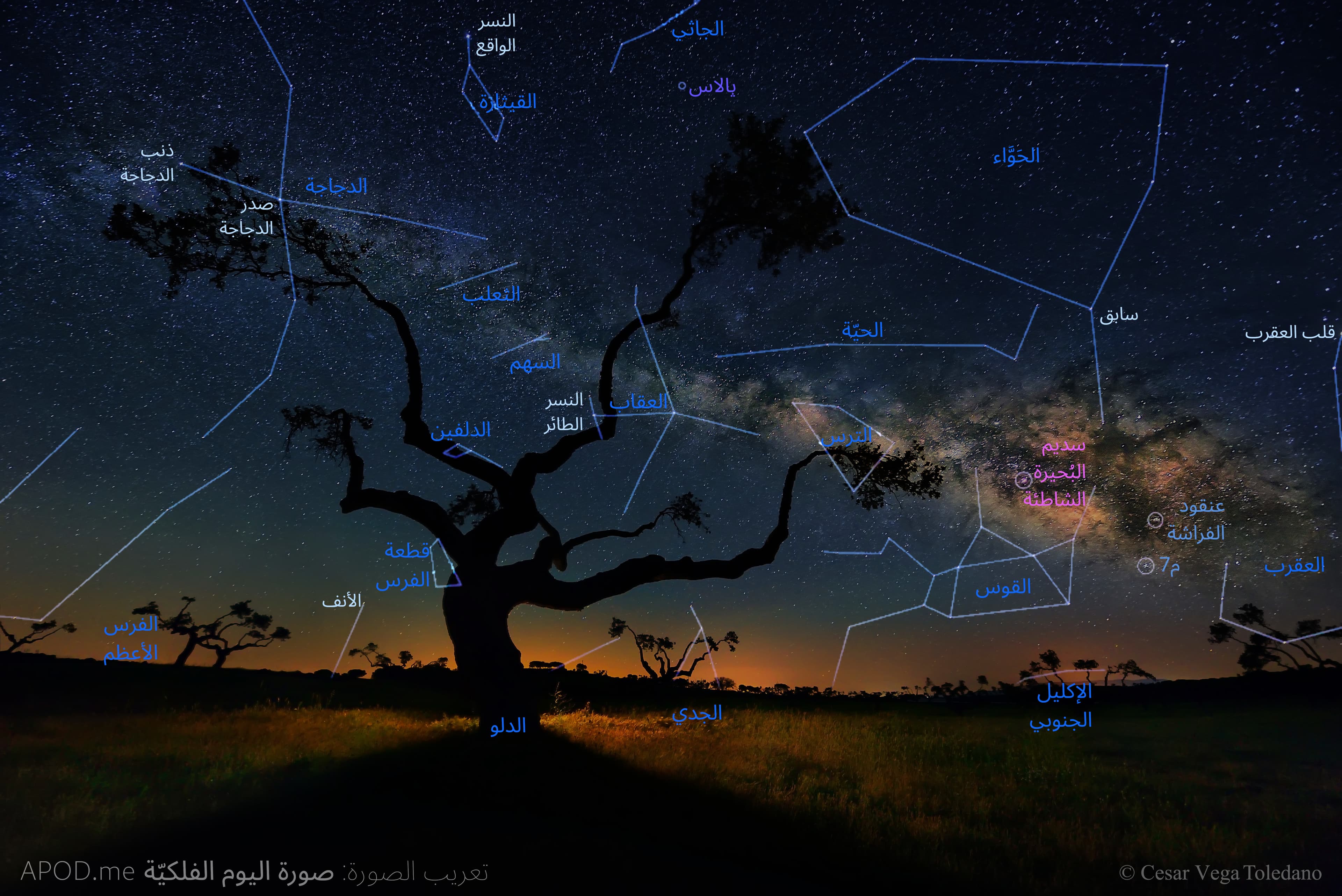 نسخة معنونة من صورة بستان البلّوط والمجرّة فوقه، تمّت عنونة عدد من الاجرام من كوكبات وغيرها هي الحوّاء وفيها سابق والجاثي والقيثارة وفيها النسر الواقع والدجاجة وفيها ذنب الدجاجة وصدر الدجاجة والثعلب والحيّة والسهم والترس والعقاب وفيه النسر الطائر والدلفين والعقرب وفيه قلب العقرب والقوس وقطعة الفرس والفرس الأعظم وفيها الأنف والإكليل الجنوبي والجدي والدلو. تمتدّ درب التبّانة عبر الصورة وعنون فيها كل من م7 وعنقود الفراشة وسديم البحيرة الشاطئة.