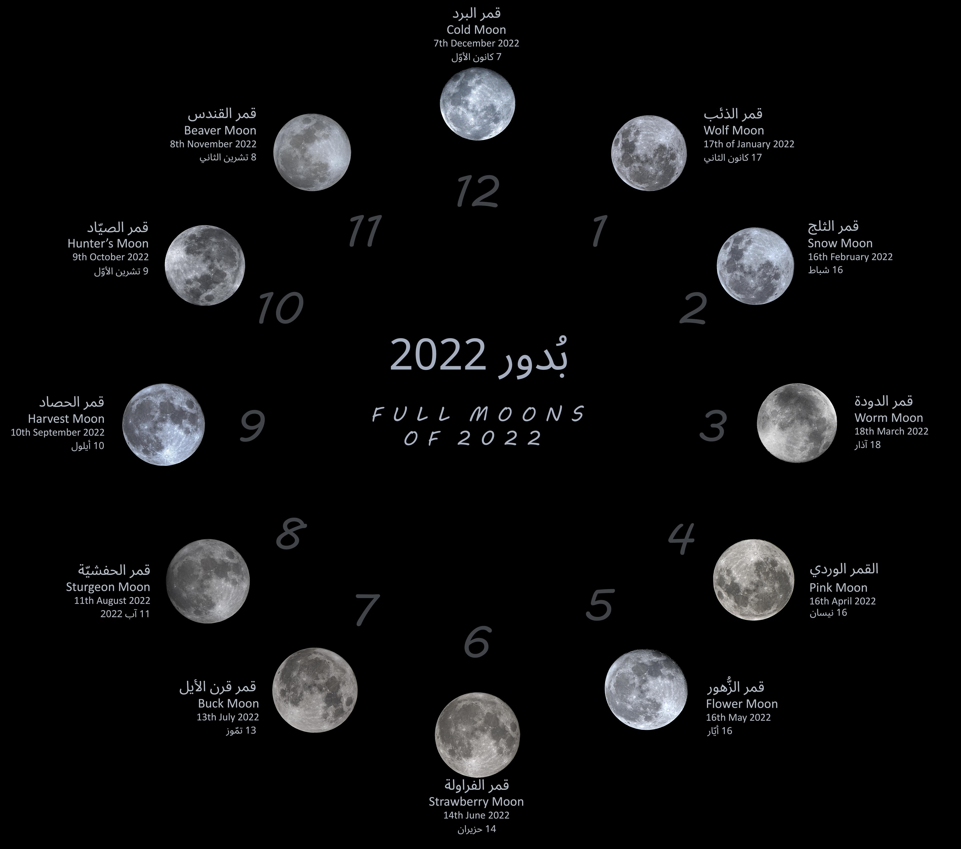 بدور 2022 الاثنا عشر مع تواريخها واسم تقليدي شائع لكلٍّ منها مُرتّبة على شكل ساعةٍ من 12 خانة.