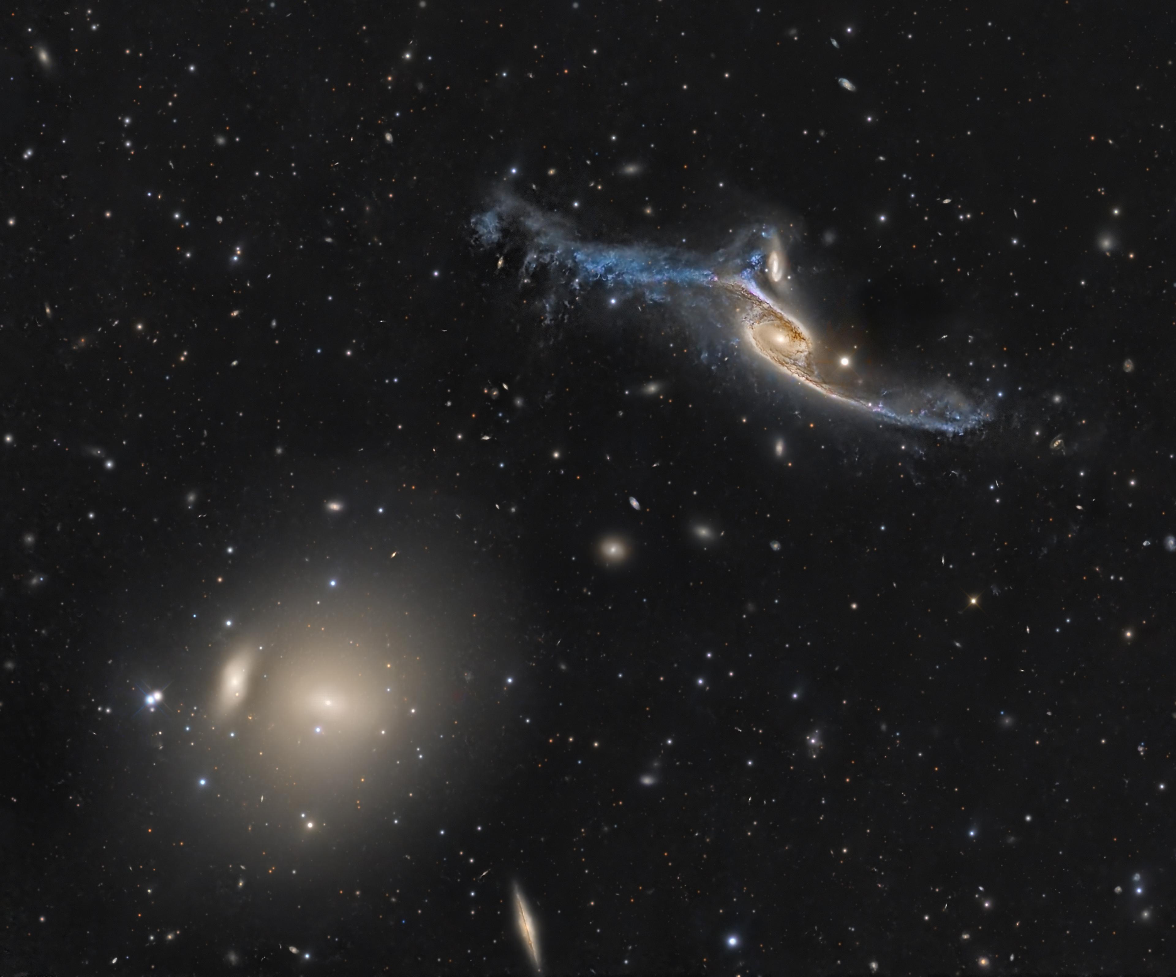 مجرّة غريبة الشكل تظهر بنواة مصفرّة وذراعين ممتدّين كجناحين وعلى أسفل اليسار تظهر مجرّة اهليلجيّة صفراء ساطعة في حين تتناثر مجرّات وأجرام أخرى عبر الصورة