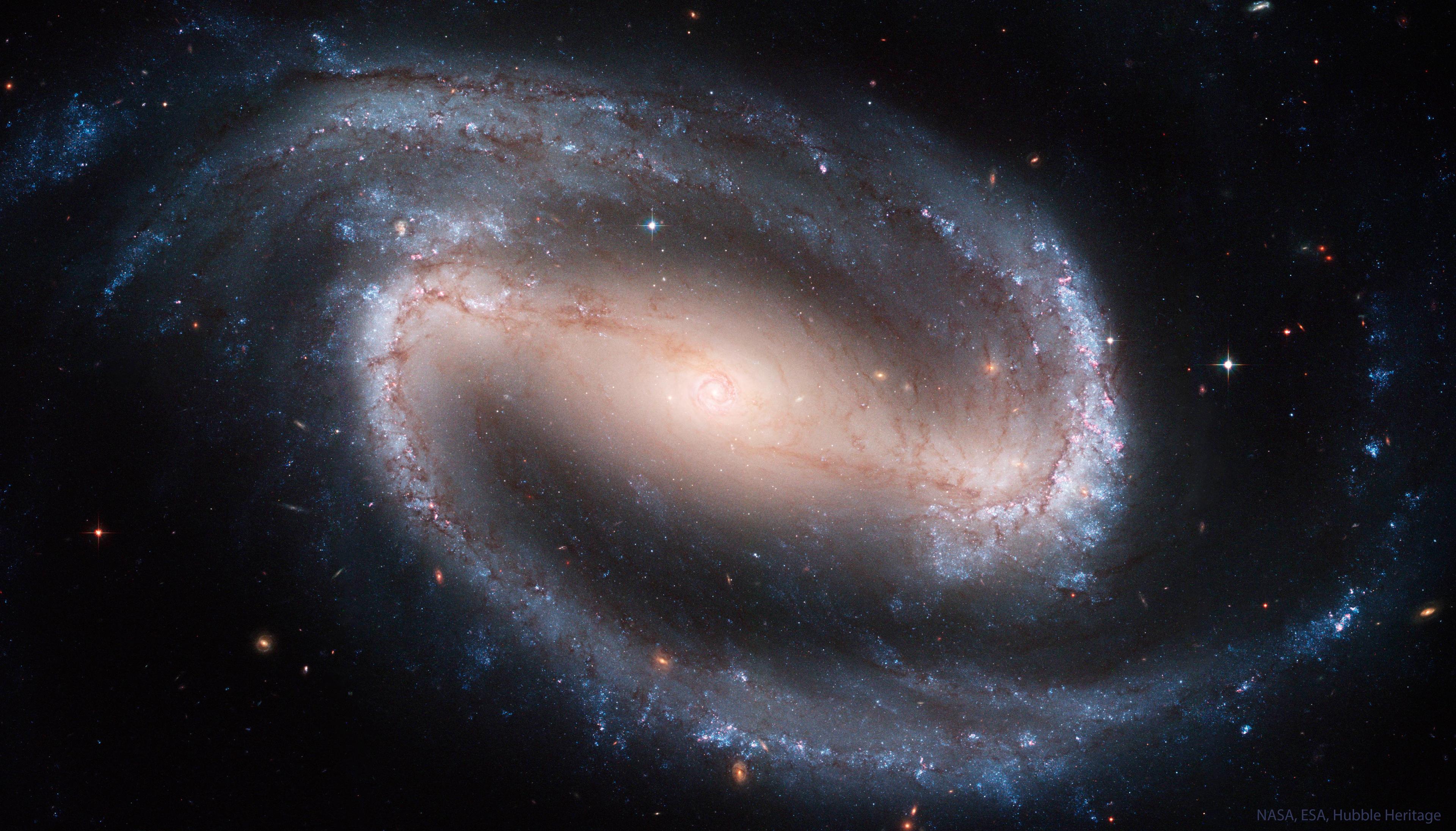 المجرّة الحلزونيّة الضلعيّة الكبيرة والجميلة إن‌جي‌سي 1300 بأذرعٍ حلزونيّة ضامّة مصطبغة بالأزرق من النجوم اليافعة