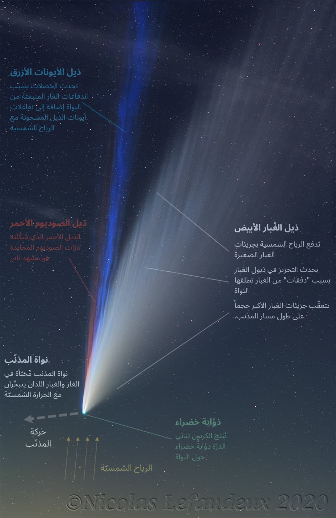 صورة مُعنونة توضيحية تشرح عن الأذيال الثلاثة لمُذنّب نيووايز حيث يظهر ذيل الغبار الأساسي بلونه الأبيض، إذ تدفع الرياح الشمسية بجزيئات الغبار الصغيرة، ويحدث التحزيز في ذيول الغبار بسبب "دفقات" من الغبار تطلقها النواة، وتتعقّب جزيئات الغبار الأكبر حجماً على طول مسار المذنب. على يساره الذيل الأيونيّ الأزرق الذي تحدث الخصلات بسبب اندفاعات الغاز المنبعثة من النواة إضافة إلى تفاعلات أيونات الذيل المشحونة مع الرياح الشمسية، وعلى يساره ذيل الصوديوم بلونه الأحمر وهو مشهد نادر. كما تمّ توضيح مكان نواة المذنب المُخبّأة في الغاز والغبار اللذان يتبخّران مع الحرارة الشمسيّة، وذؤابة المذنّب الخضراء الناتجة عن الكربون ثنائي الذرّة حول النواة. ويوّضح الرسم حركة المذنب باتجاه اليسار المائل نحو الأسفل قليلاً بينما يكون اتجاه الرياح الشمسيّة من الأسفل باتجاه الأعلى، دافعةً (ومشكّلةً) ذيل المذنّب.