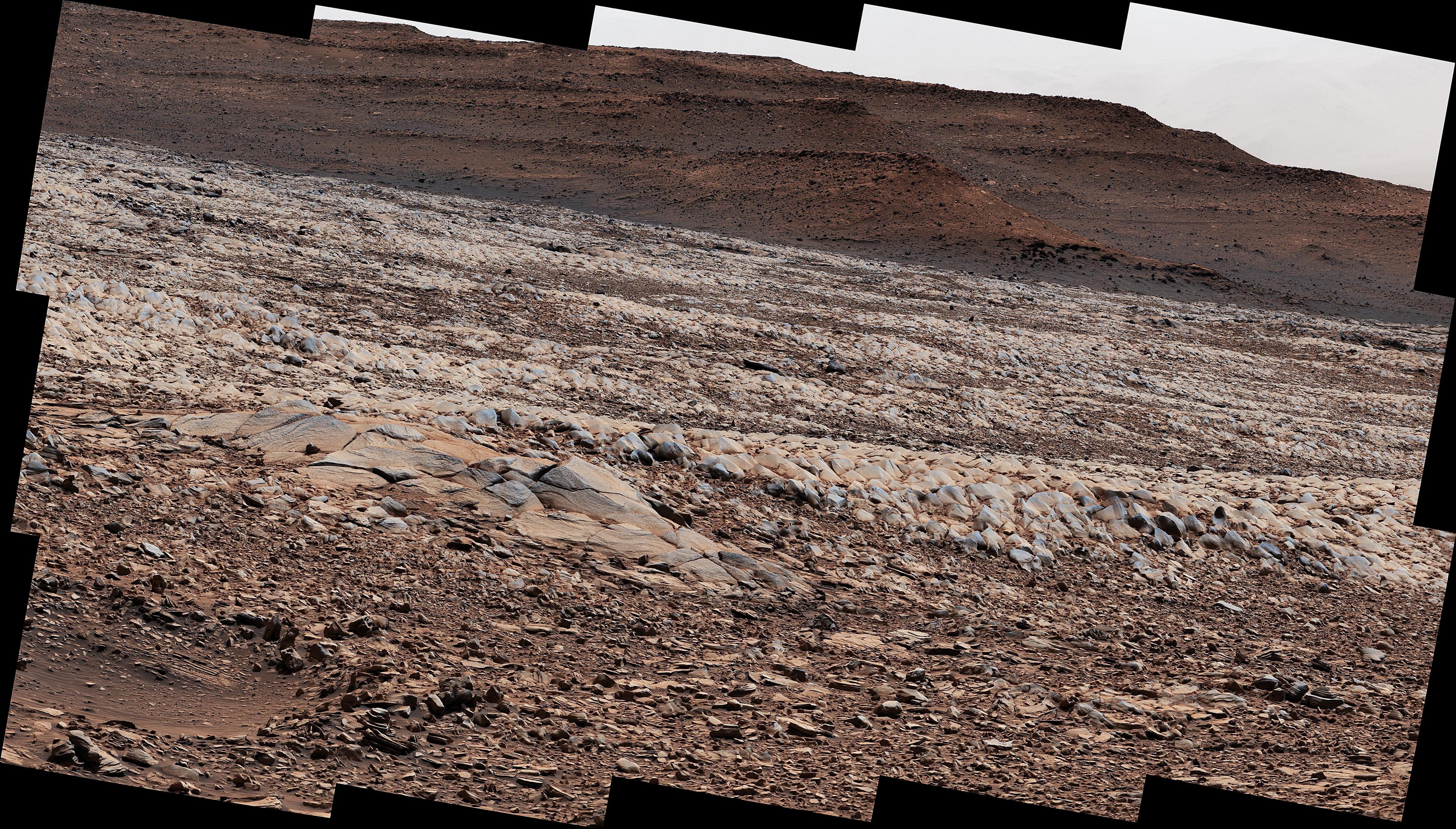 صورة موزايك تظهر أرضاً مرّيخية فيها صخور حرشفيّة المظهر وخلفها تضاريس محمرّة مرتفعة قليلاً