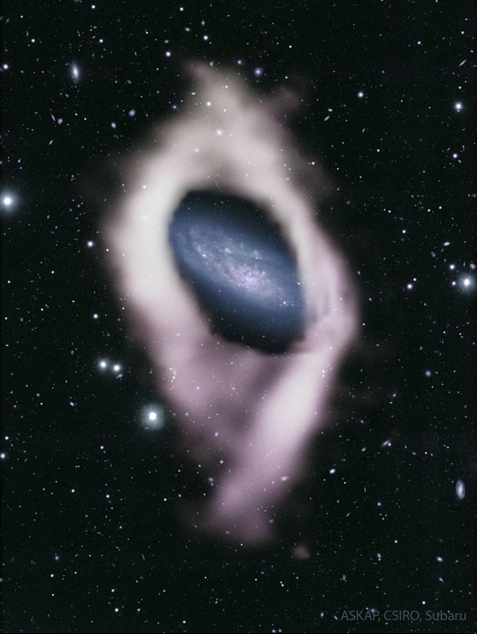 مجرّة بأذرع حلزونيّة زرقاء تُرى في المركز بين العديد من نجوم المقدّمة. هذه المجرّة مُحاطة بغلافٍ أبيض، اكتُشِفَ أنّه غاز هيدروجين.