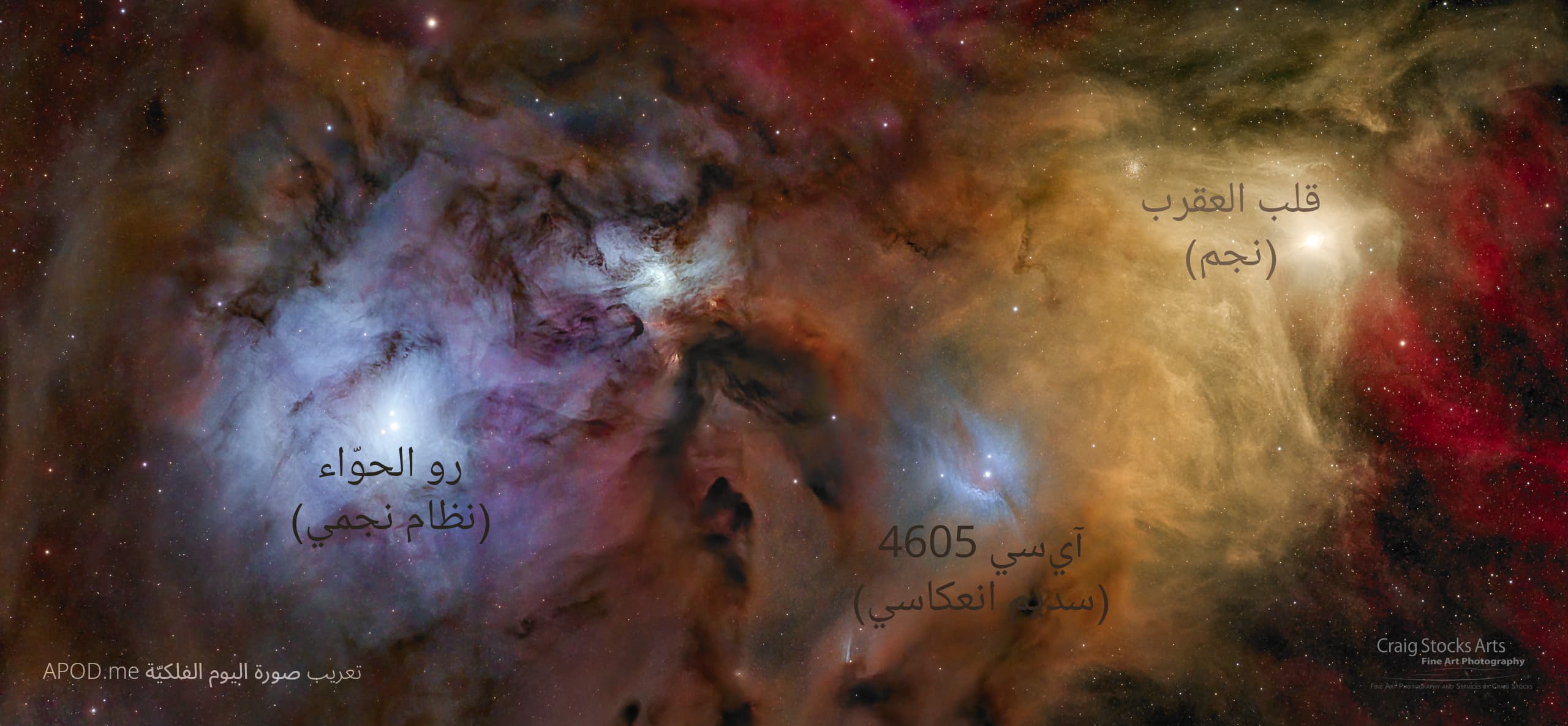 نسخة توضيحيّة عنون فيها نجم قلب العقرب ونظام رو الحوّاء النجمي وسديم آيسي 4605
