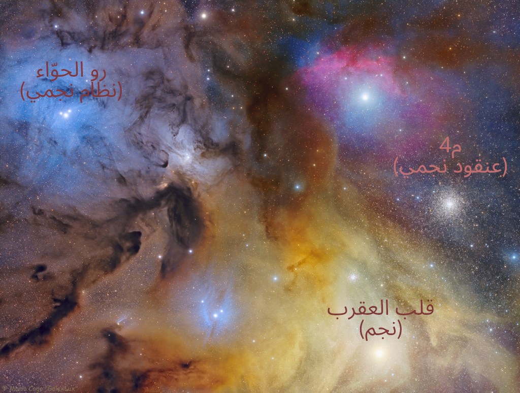 نسخة معنونة من الصورة وضّح عليها مكان نجم قلب العقرب والنظام النجمي رو الحوّاء والعنقود النجمي م4.