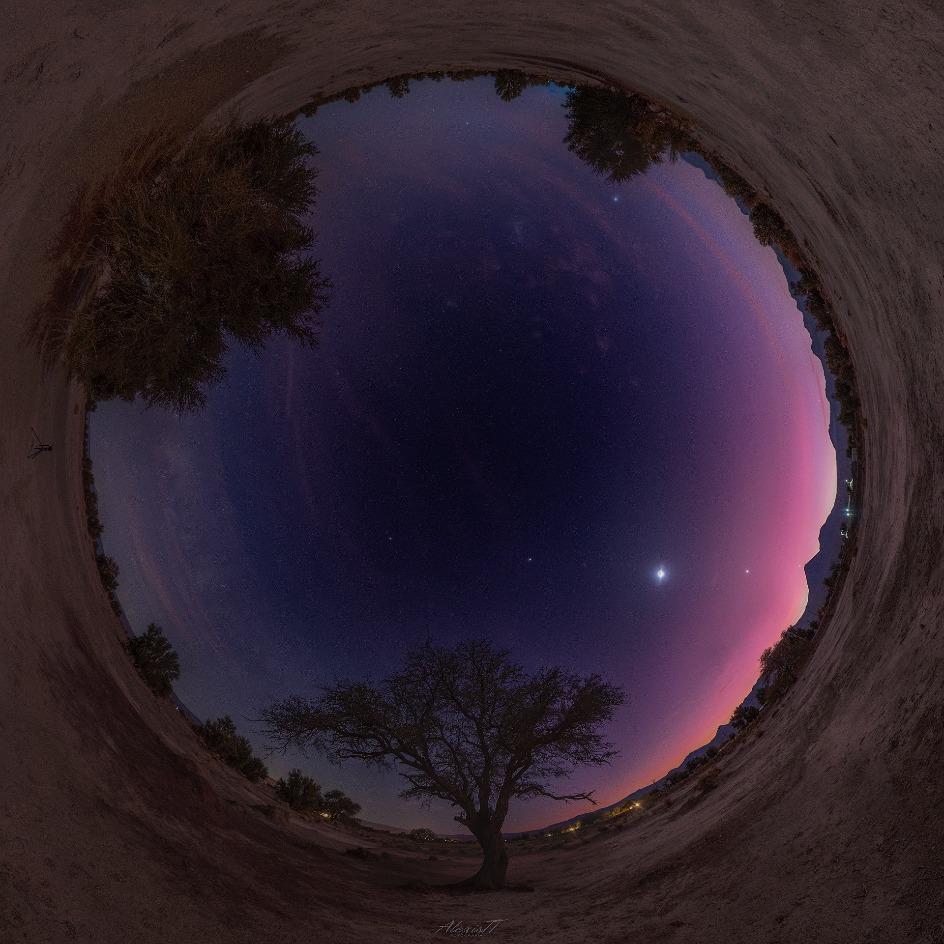 صورة بانوراميّة بتقنيّة عين السمكة يظهر فيها الأفق مكوّراً مغلقاً وفي المنتصف السماء وفيها موكب الكواكب مع بعض الأشجار على الجوانب