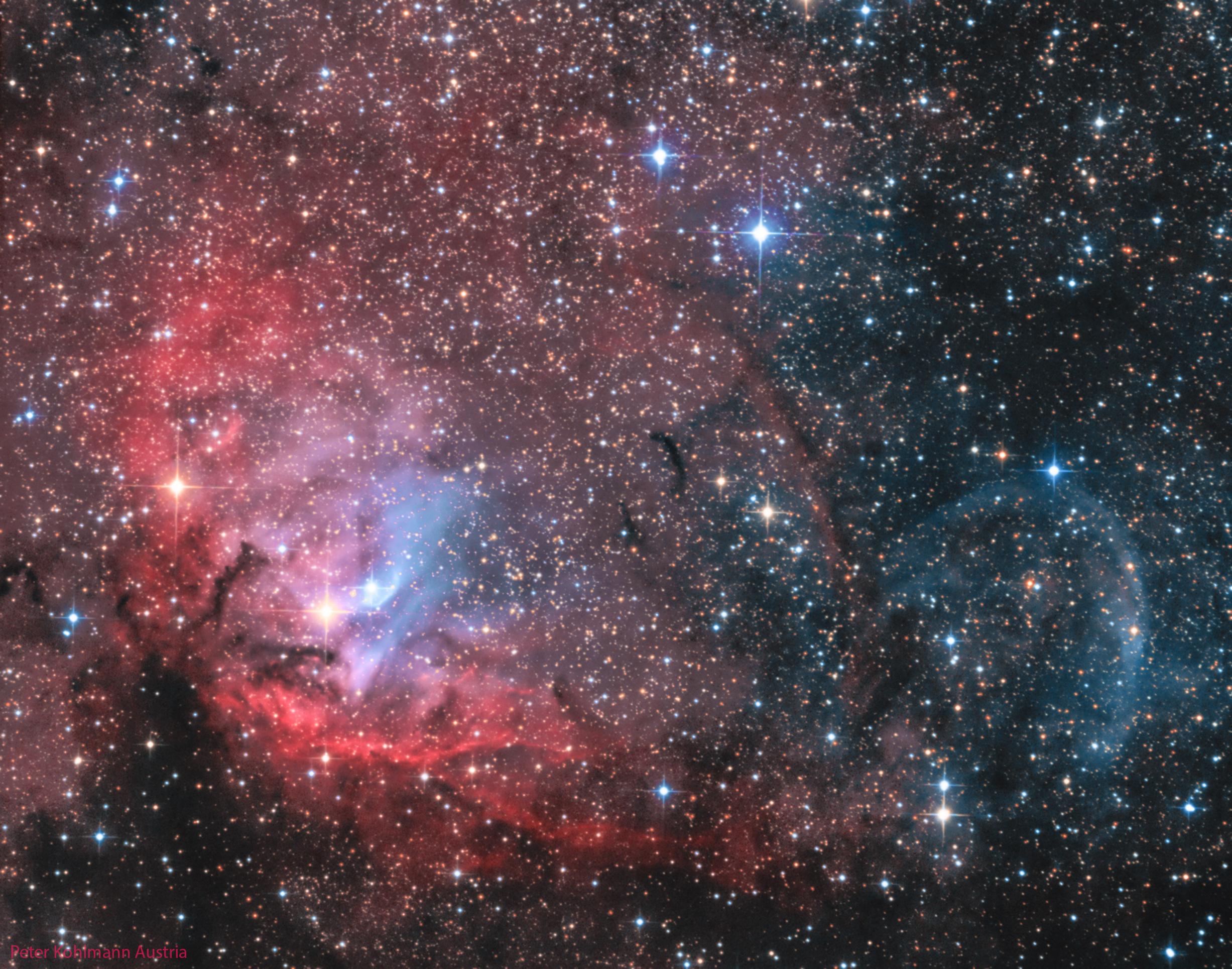 سديم محمر يبدو كزهرة متفتّحة مع امتداد مساحات زرقاء وداكنة والكثير من النجوم