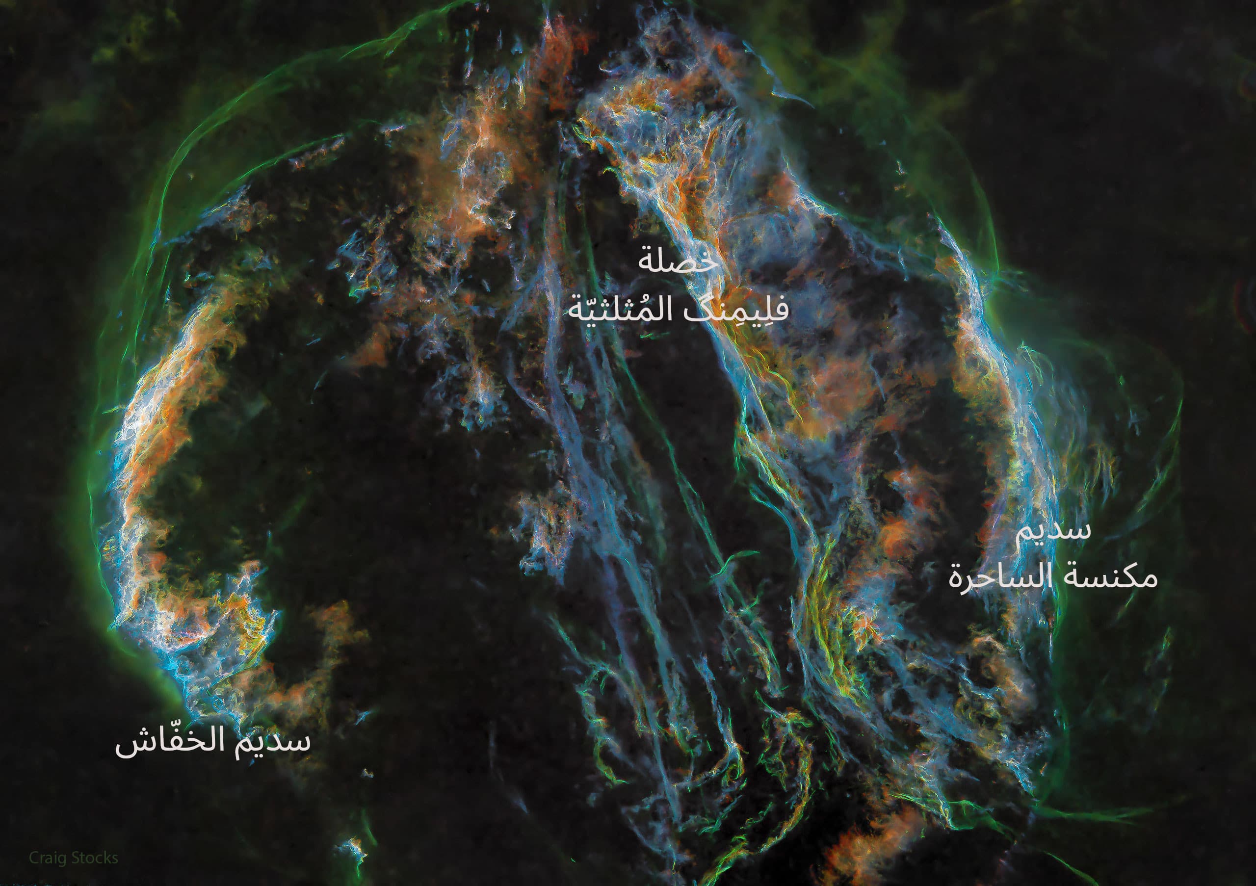 نسخة توضيحية عنون فيها سديما الخفّاش ومكنسة الساحرة، وخصلة فلِيمِنگ المُثلثيّة