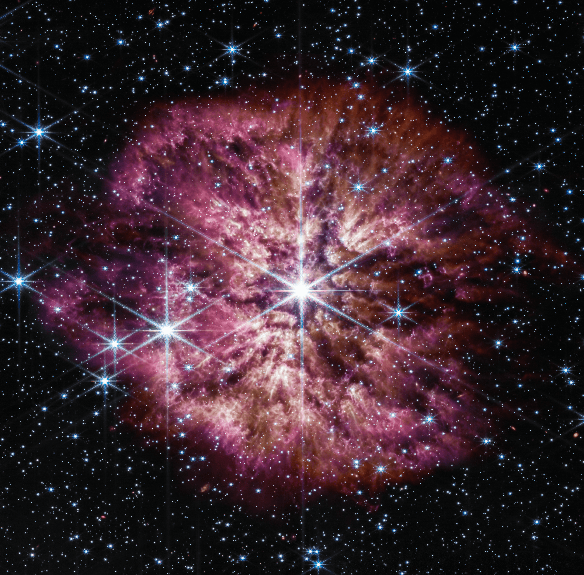 سديم يظهر كنبتة كثيفة اسفنجيّة تتفرّع من المركز بألوان ترابيّة ثم ورديّة، مع ظهور نجوم مدبّبة عبر الصورة