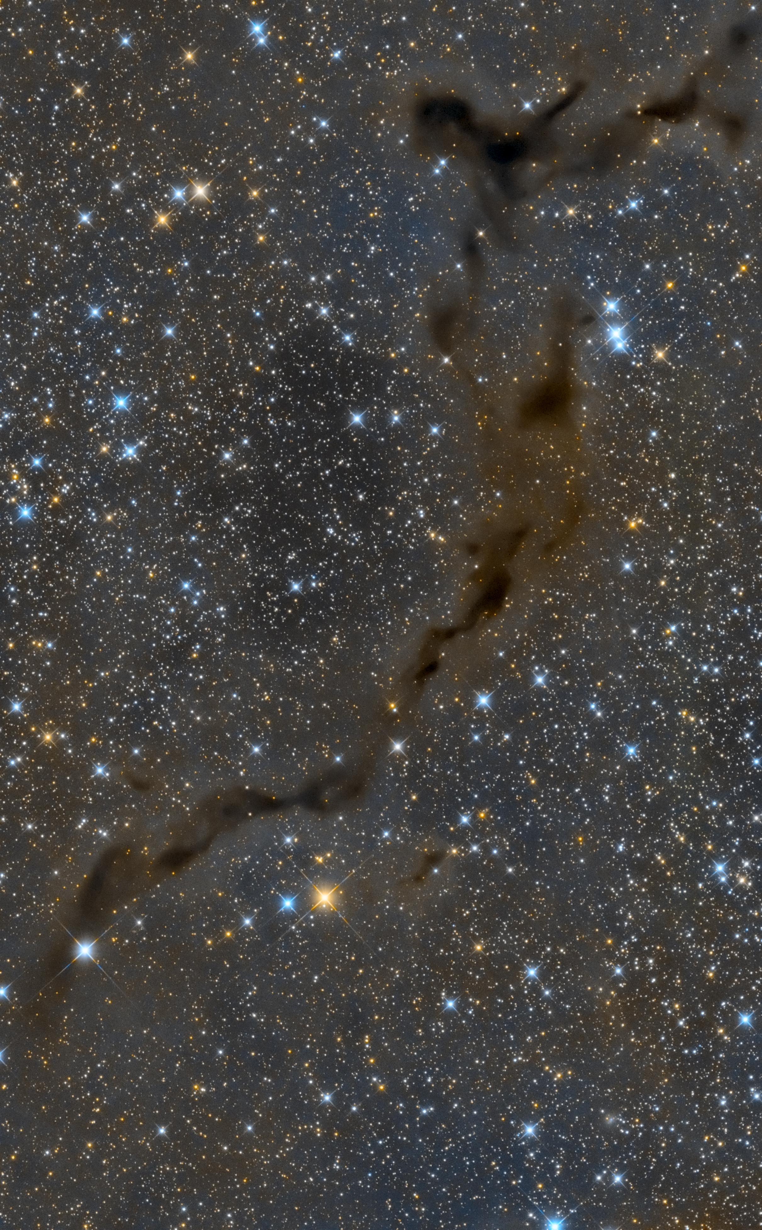 صورة للفضاء العميق مزدانة بالنجوم ويتخللها سحب جزيئية غبارية داكنة تقطع الصورة من أعلى اليمين لأسفل اليسار.