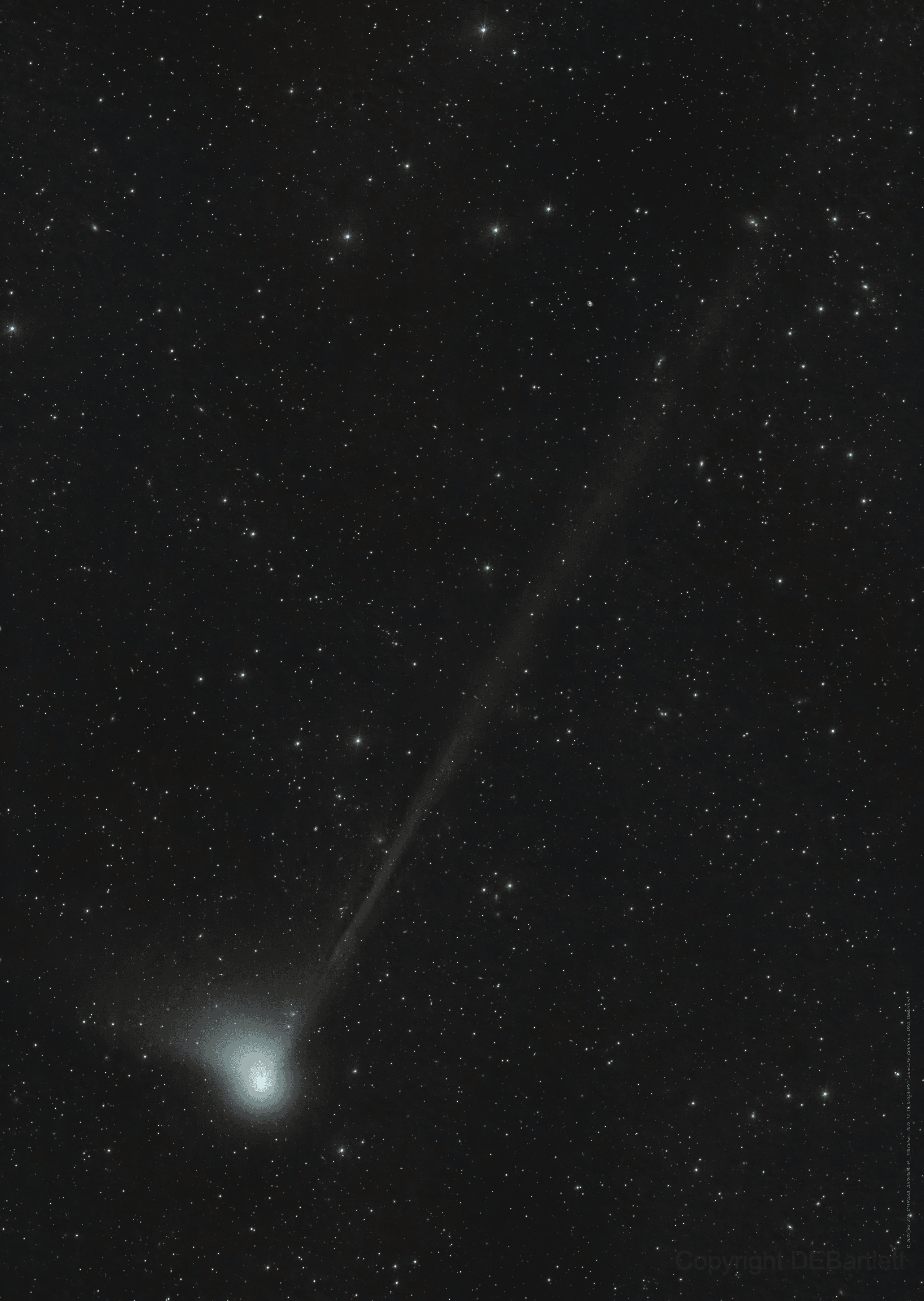 صورة تلسكوبيّة لمُذنَّب "سي/2022 إي3 (ZTF)" تُظهِر ذؤابته المُخضرَّة الأكثر سطوعاً وذيل الغبار الواسع القصير والذيل الأيوني الخافت الطويل.