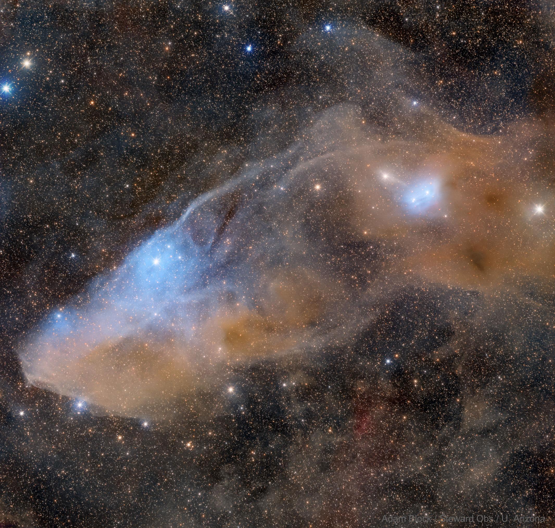تُظهر الصورة السديم العاكس IC 4592 المعروف بسديم رأس الحصان الأزرق.