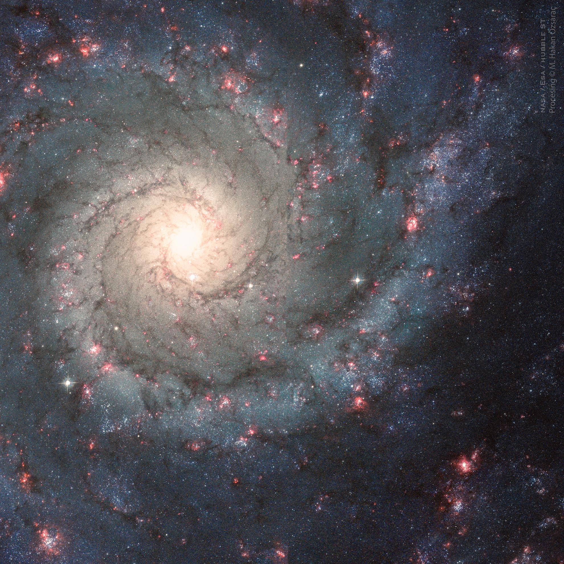 مجرّة حلزونيّة بتصميم عظيم نراها من وجهها حيث يظهر مركزها بلون مصفرّ وتتلولب منه أذرع حلزونيّة تزيّنها عناقيد النجوم الزرقاء ومناطق التشكّل النجمي المحمرّة.
