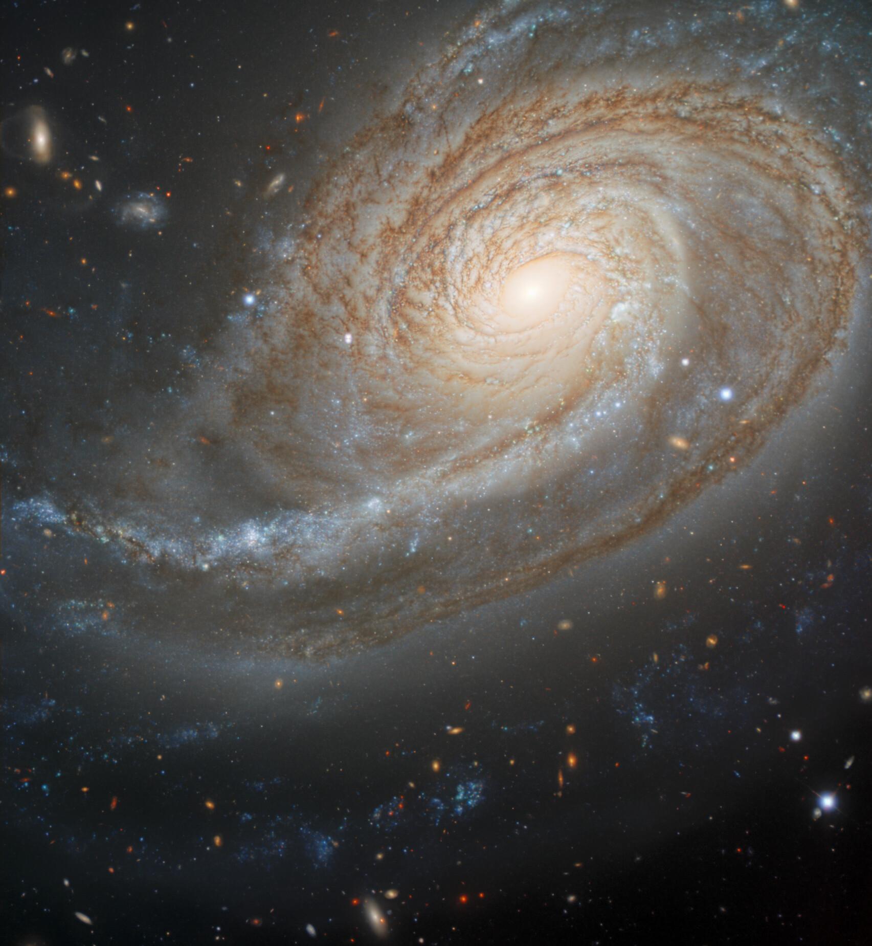 مجرّة حلزونيّة غريبة الشكل حيث يمادّ أحد أذرعها بصورة كبيرة، تظهر بنواة صفراء وممرات غبار وعناقيد نجوم زرقاء، وتظهر مجرّات قصيّة في خلفية الصورة